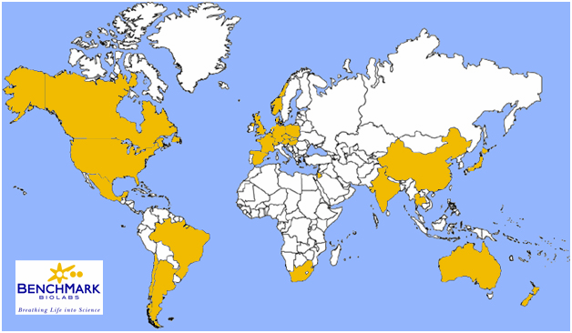 Benchmark Global Map